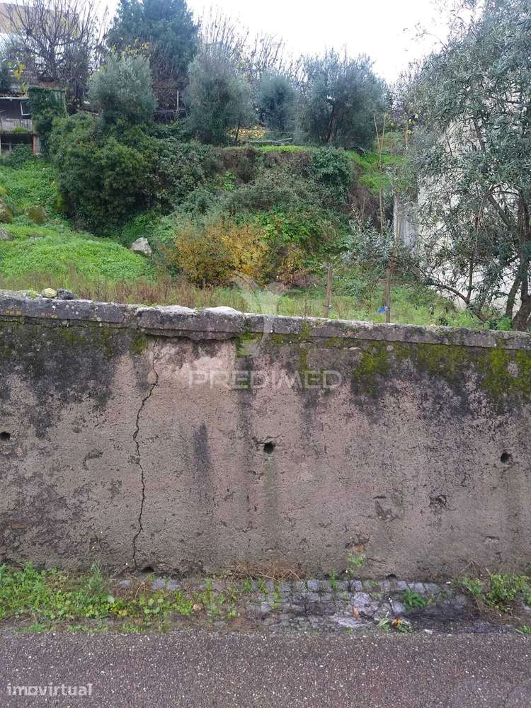 Terrena São Bartolomeu - Grande imagem: 3/4