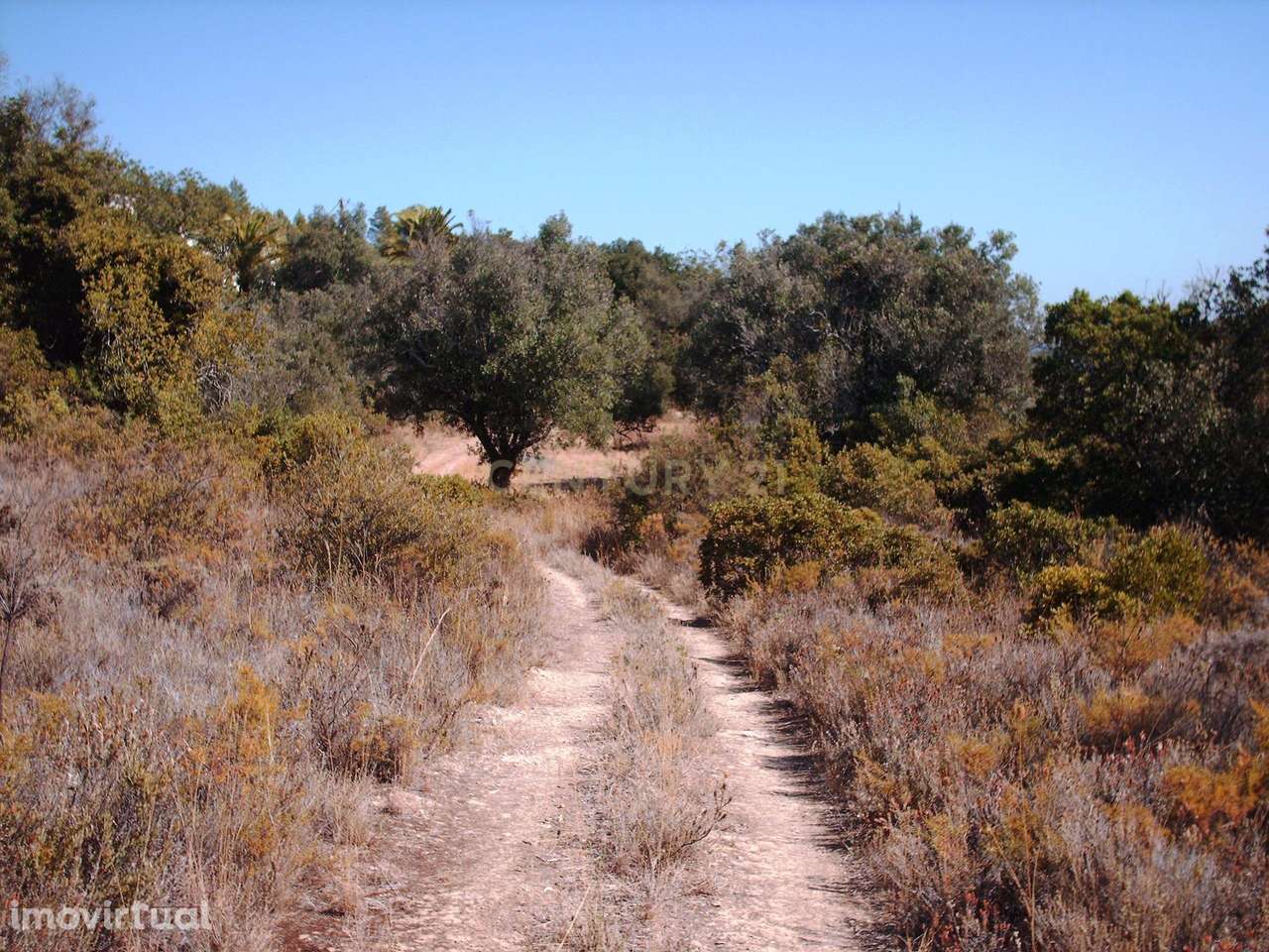 Terreno vista mar - Grande imagem: 3/9