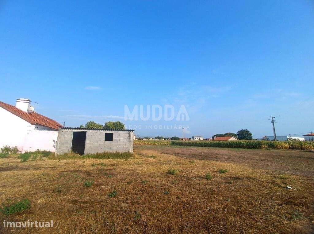 TERRENO PARA CONSTRUÇÃO DE PRÉDIO | PARDILHÓ | ESTARREJA - Grande imagem: 3/7