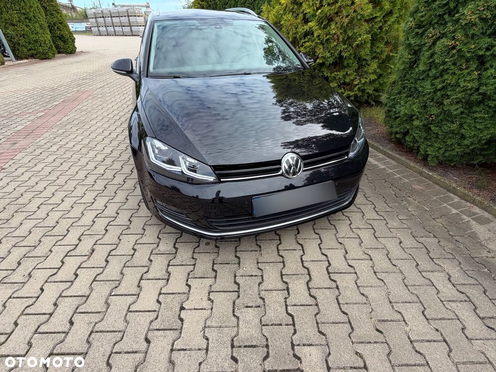 Volkswagen Golf - 25