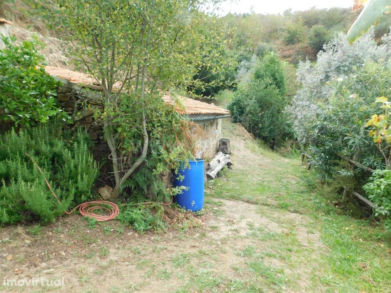 Quintinha / Seia, Sandomil - Grande imagem: 3/12