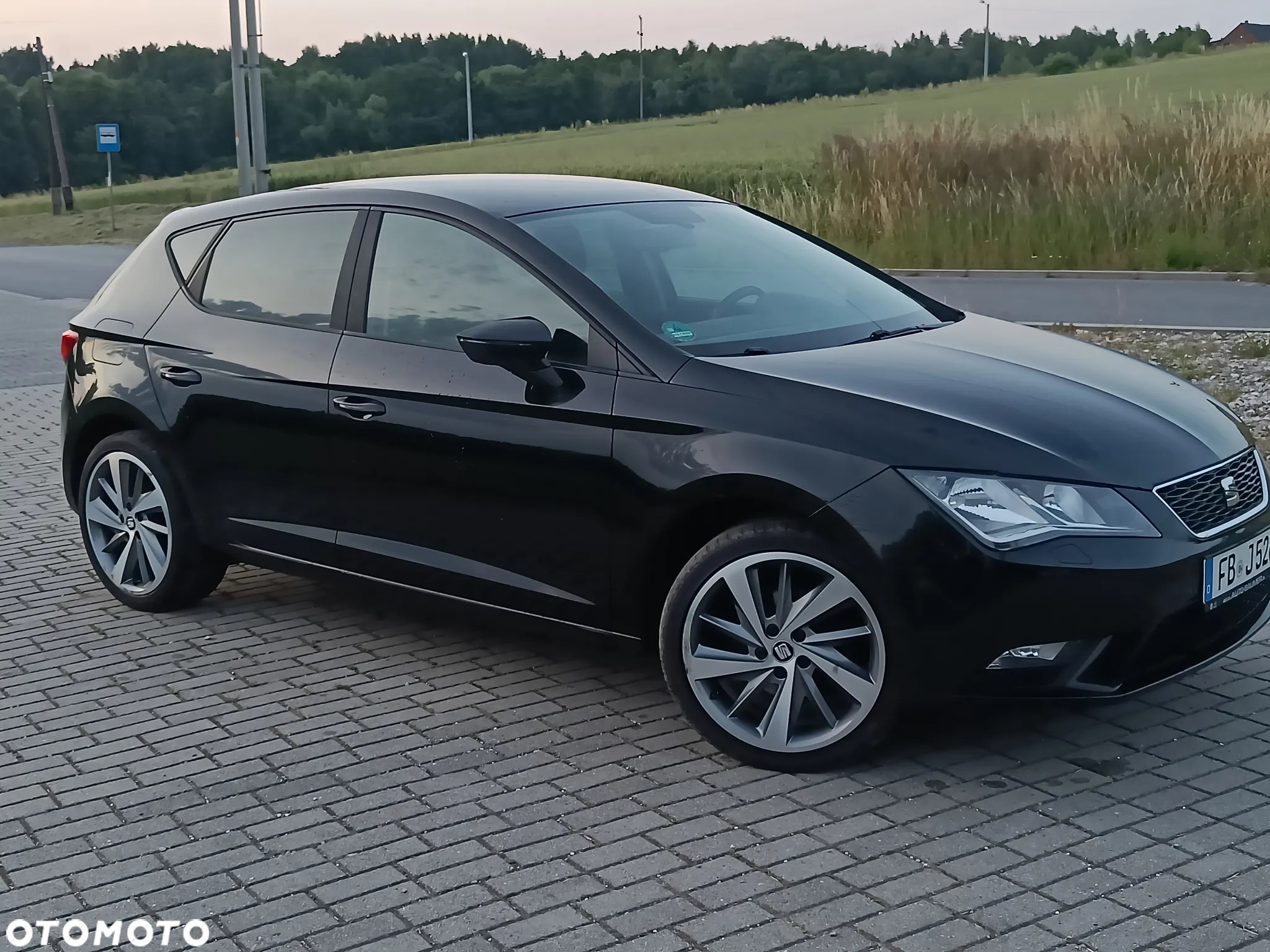 Seat Leon - 14