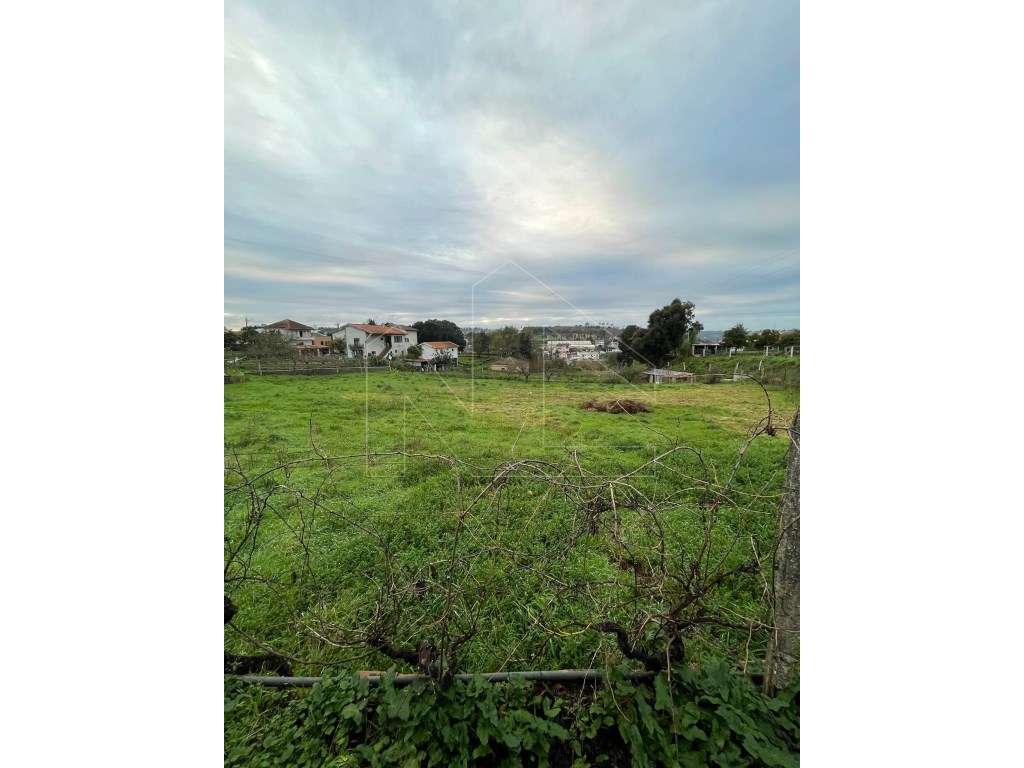 Terreno urbano na Borralha - Grande imagem: 3/6
