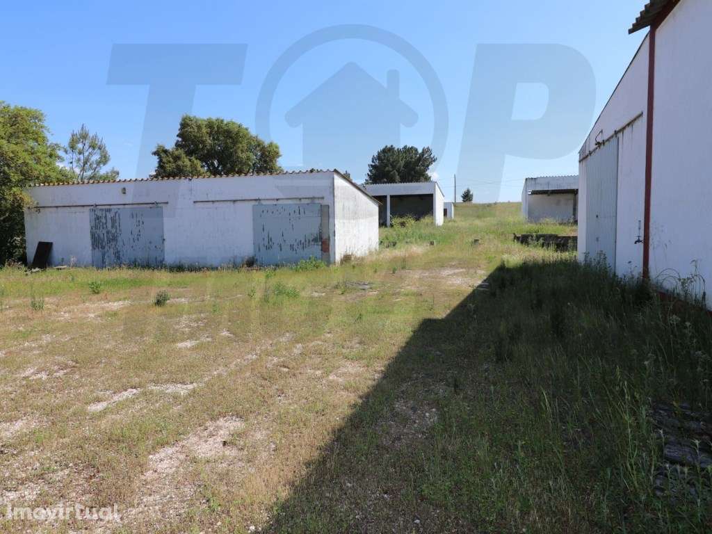 Terreno com equipamento agrícola - 34250m2 - 550.000€ - Grande imagem: 4/14