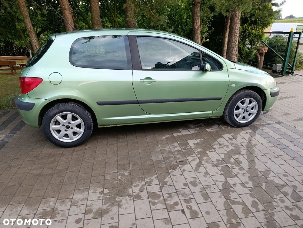Peugeot 307 110 Grand Filou - 21