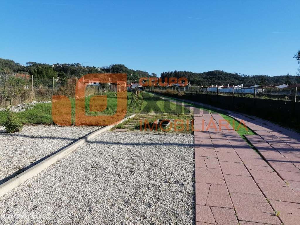 Propriedade tipo quintinha a 5 minutos de São Martinho do Porto! - Grande imagem: 5/48