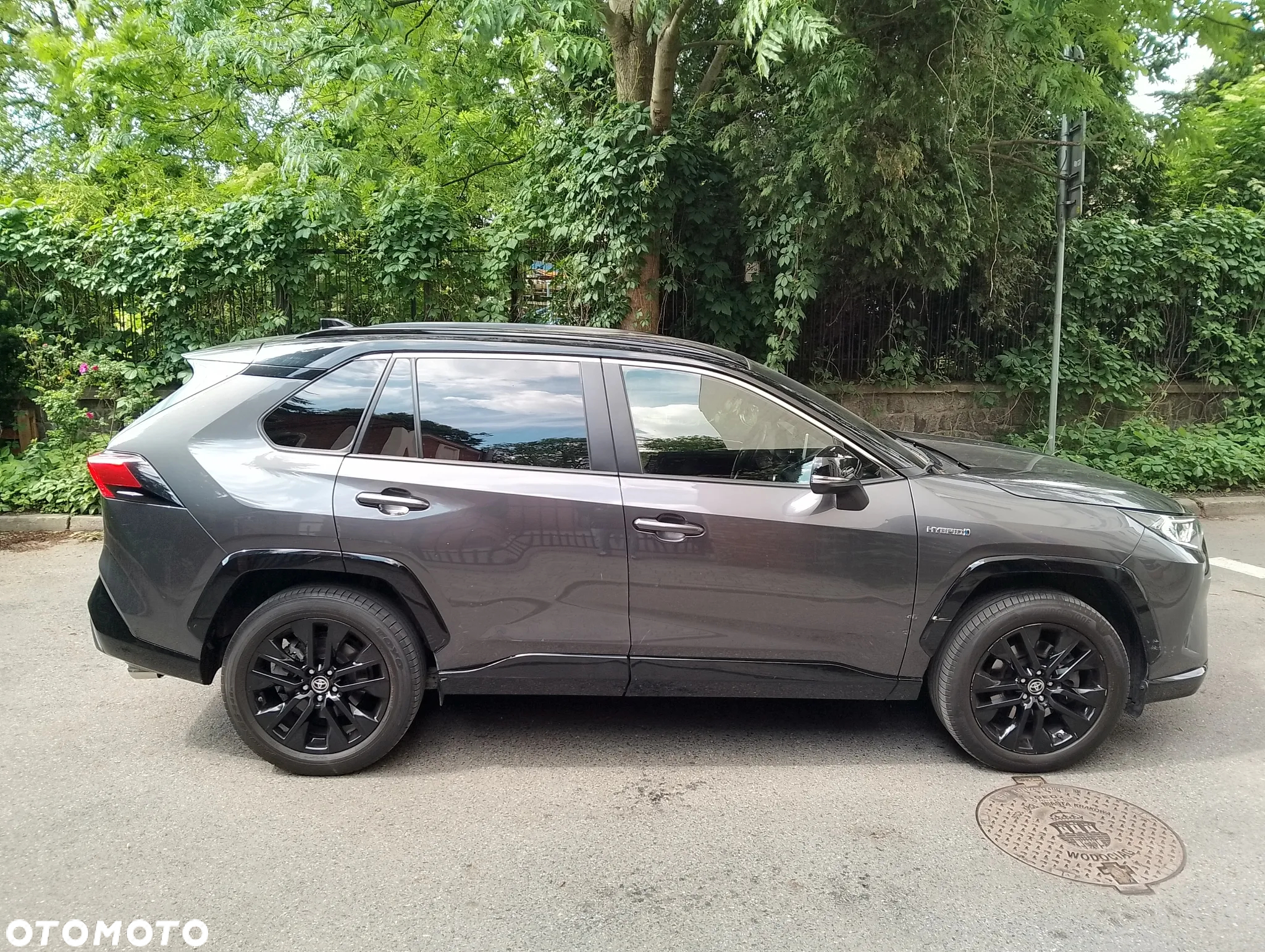 Toyota RAV4 2.5 4x2 Hybrid Style Selection - 6