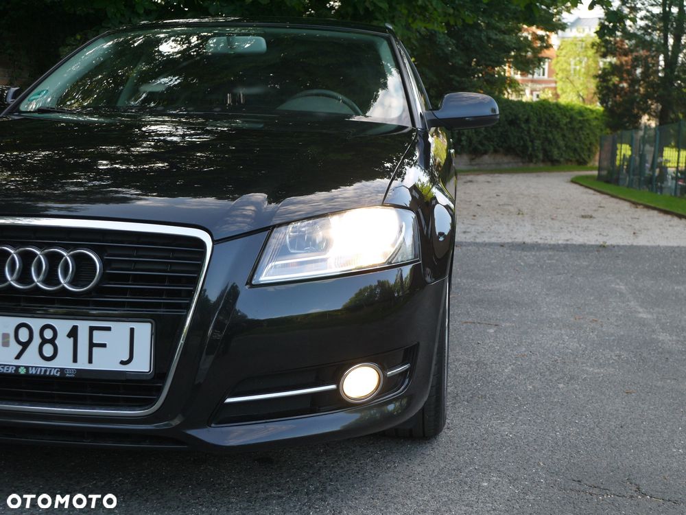 Audi A3 Sportback 1.6 Attraction - 25