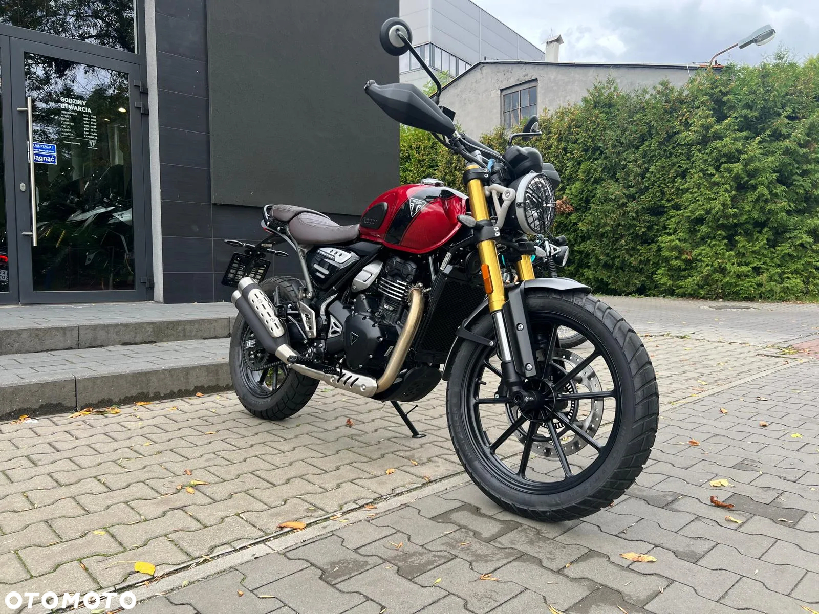Triumph Scrambler - 2