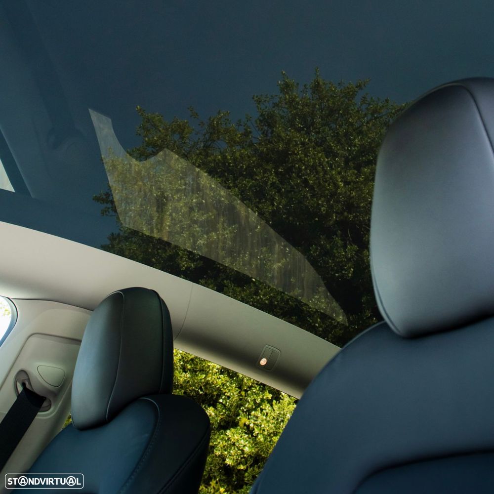 Tesla Model Y Long Range Dual Motor AWD - 19