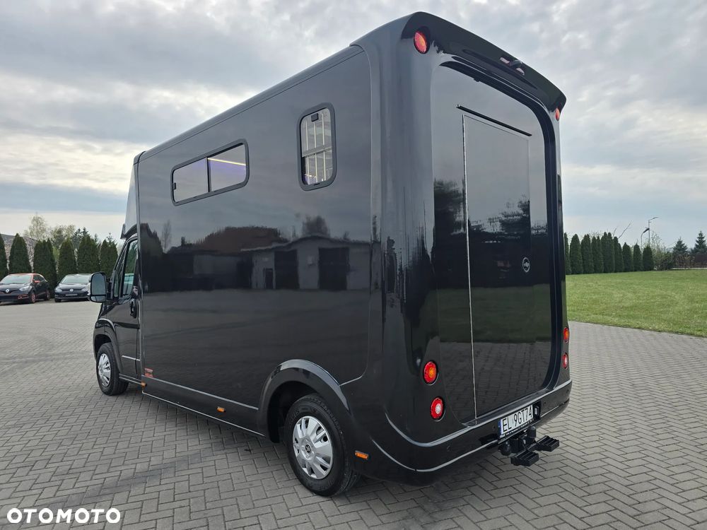 Peugeot Boxer-Koniowóz - 12