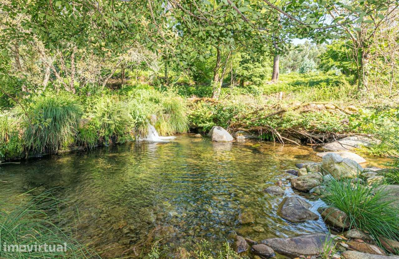 Propriedade única junto ao rio, em Castanheira de Pêra! - Grande imagem: 3/51