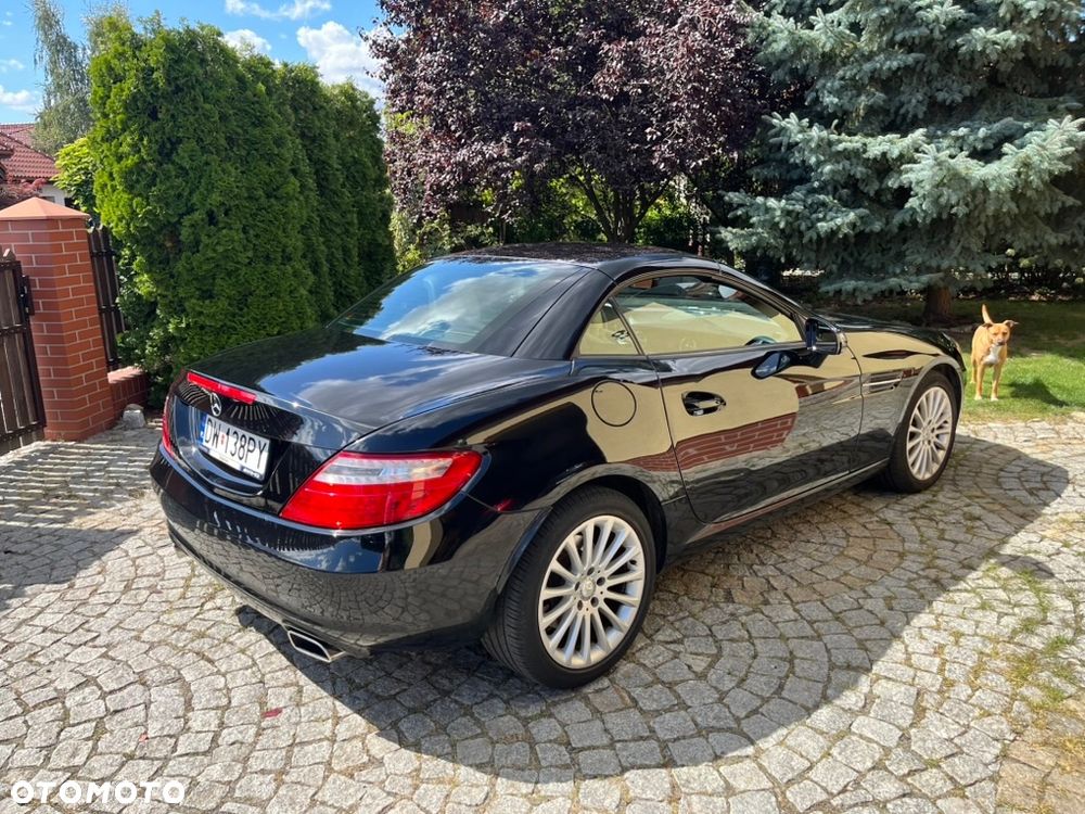 Mercedes-Benz SLK - 15