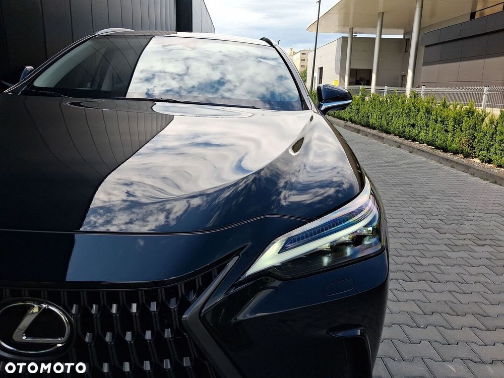 Lexus NX - 22