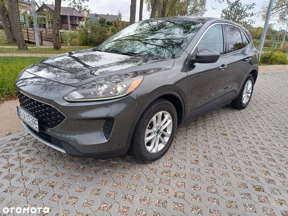 Ford Escape - 1