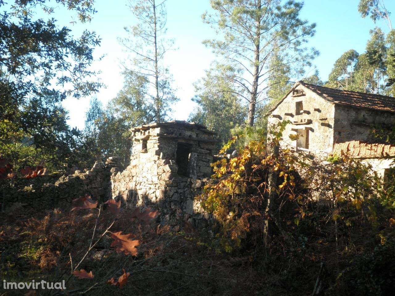 Quinta – Sever do Vouga - Grande imagem: 3/30