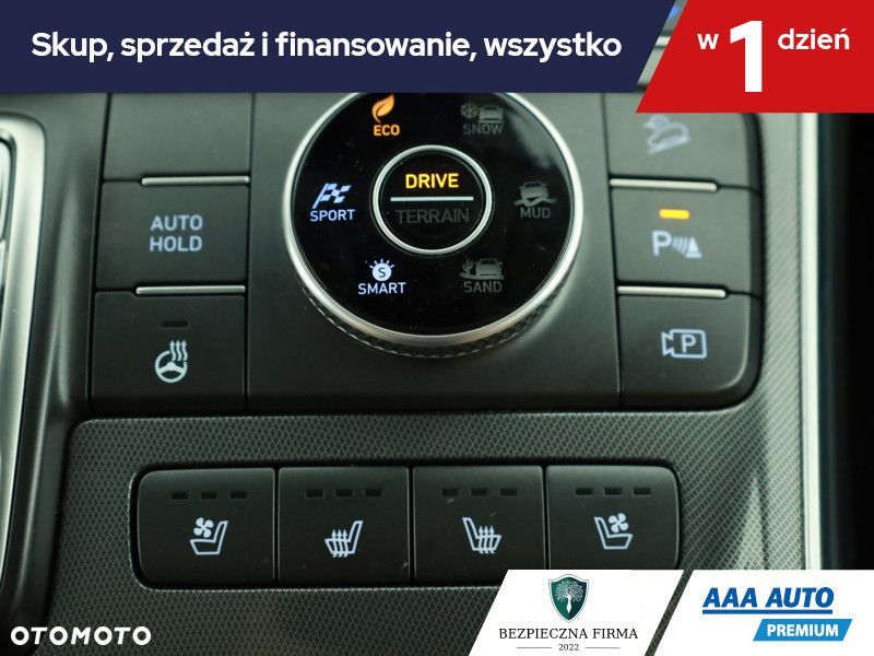 Hyundai Santa Fe - 19