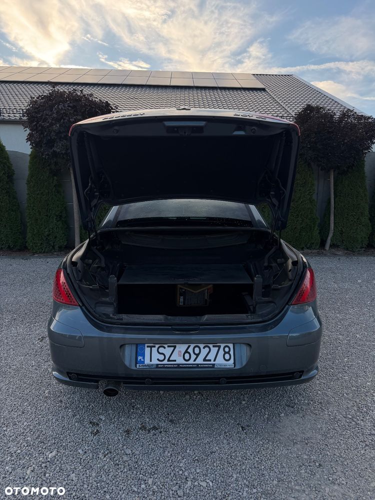 Peugeot 307 CC 2.0 - 6