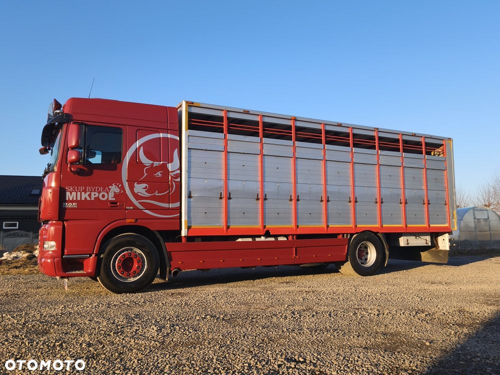 DAF XF 105.460 - 10