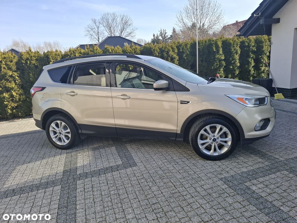 Ford Escape - 1