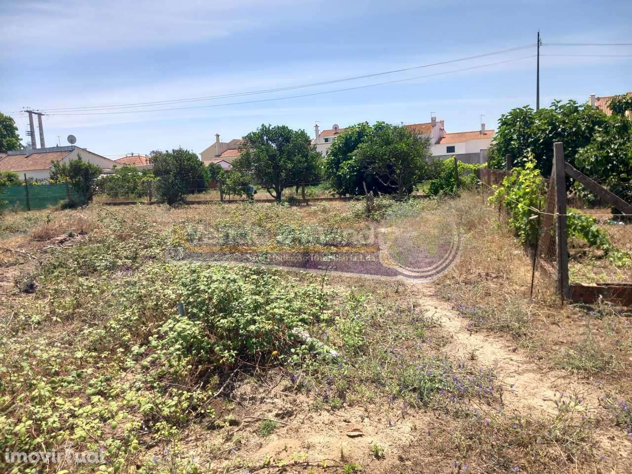 Terreno em Benavente (B544) - Grande imagem: 2/5