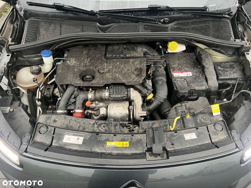 Citroën C4 Cactus 1.6 e-HDi Shine Edition ETG - 18