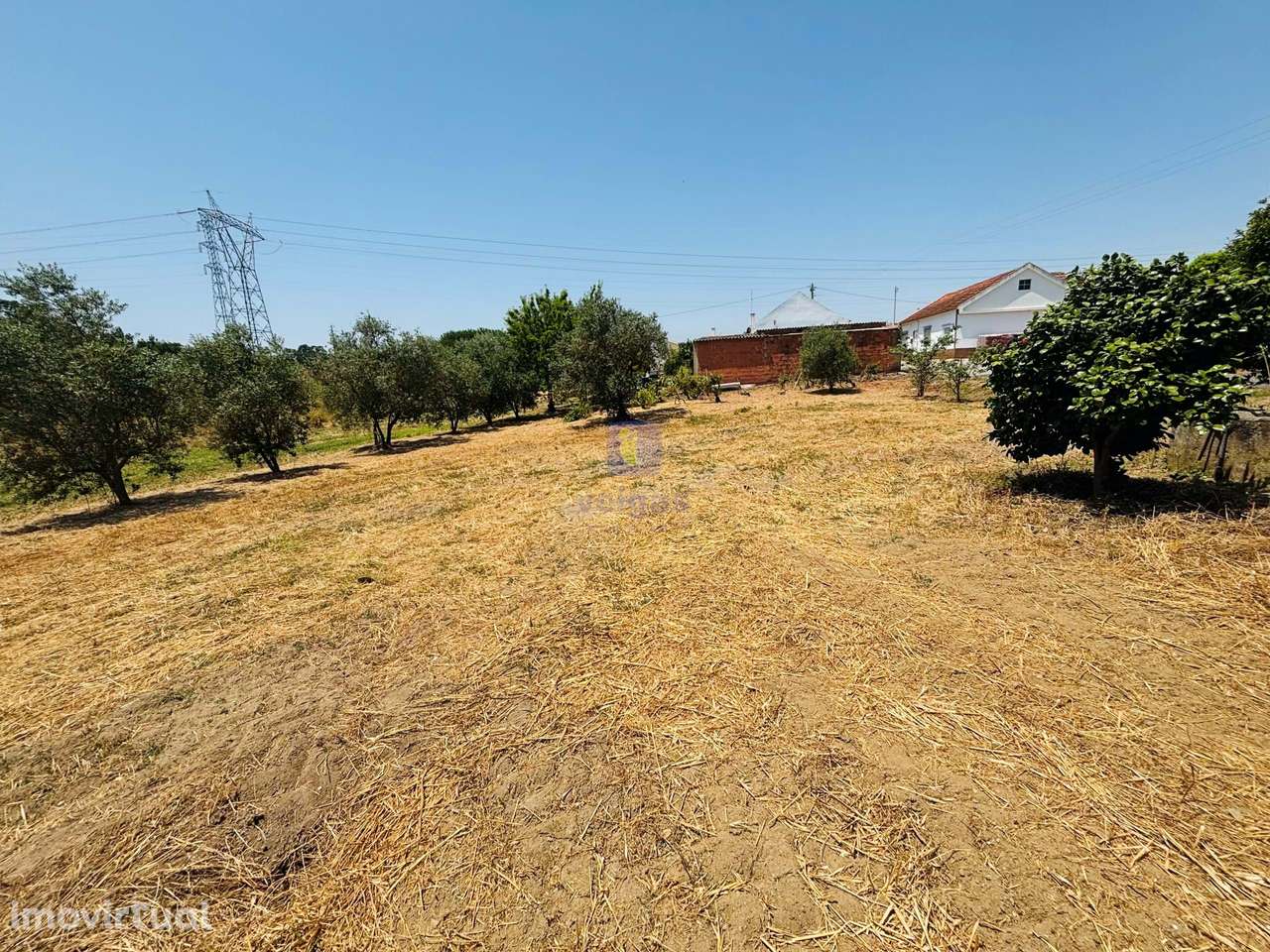 Terreno Urbano com 3.695 m2 em Alcoentre, com viabilidade de construçã - Grande imagem: 5/13