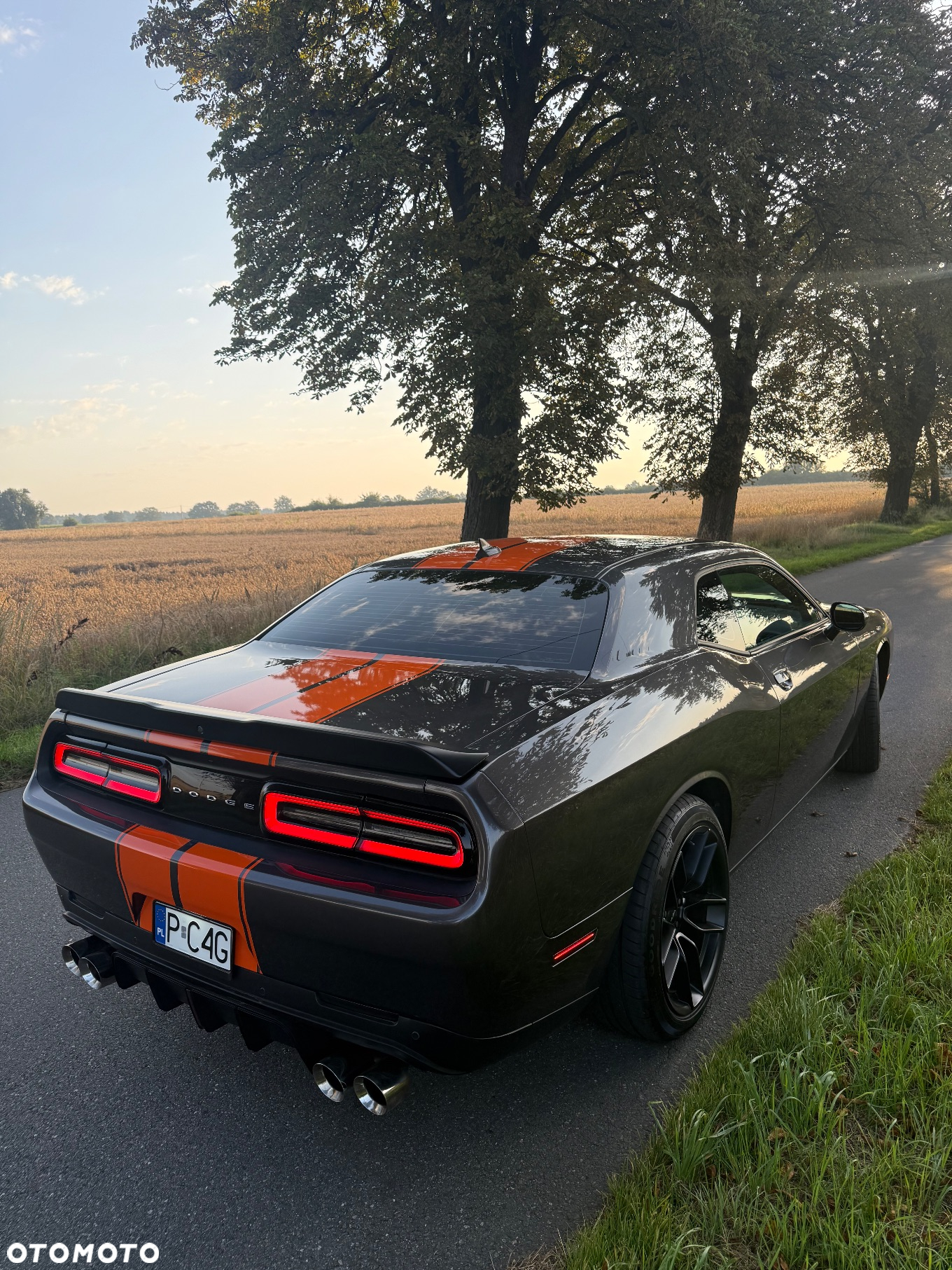 Dodge Challenger Automatik SXT Plus - 4