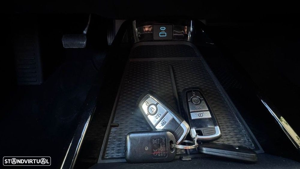 Ford Mustang Mach-E Standard - 15