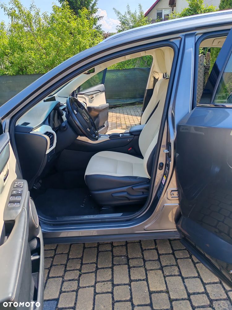 Lexus NX 300h Business Edition AWD - 23