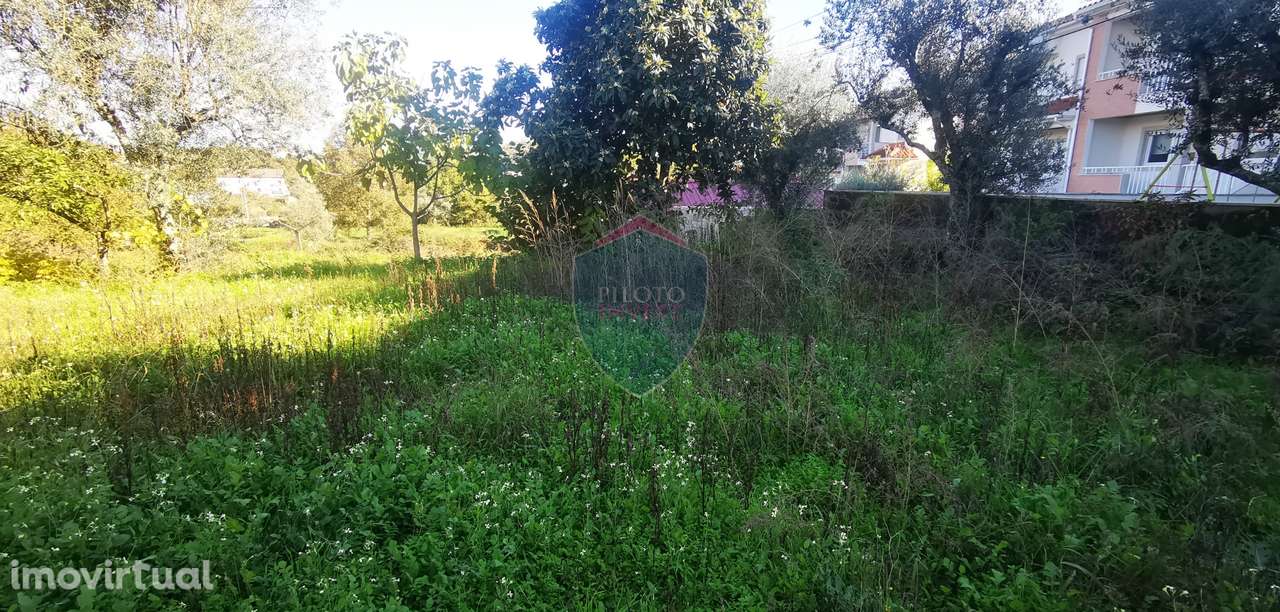 Terreno Para Construção  Venda em Viseu,Viseu - Grande imagem: 5/8