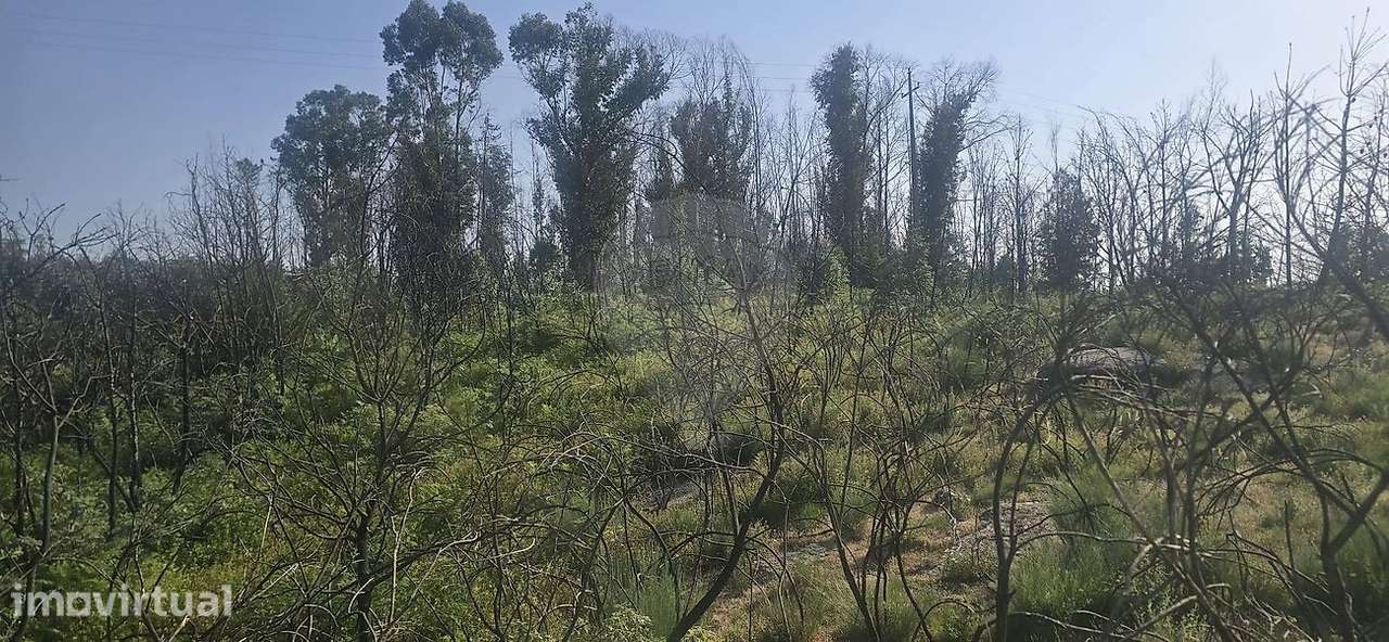 Terreno  para venda - Grande imagem: 3/4