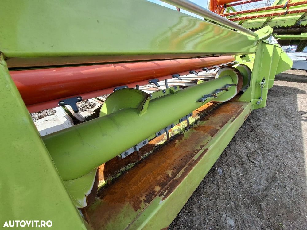 Claas SUNSPEED 8-70 CULEGATOR FLOAREA SOARELUI - 11