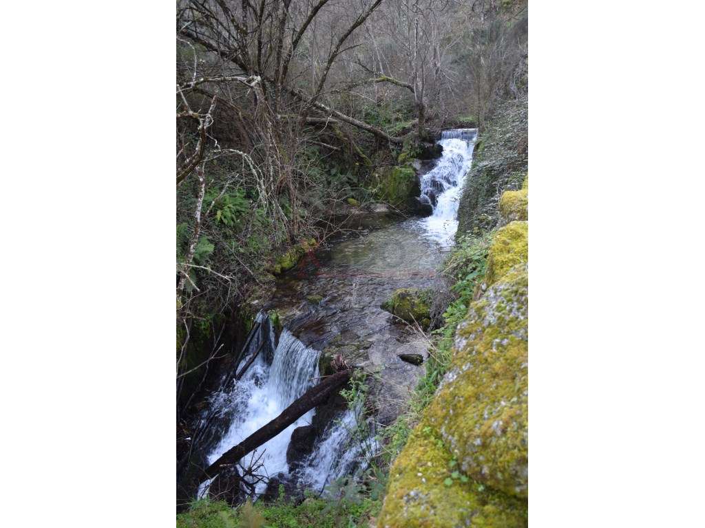 Quinta no Parque Natural da Serra da Estrela - Grande imagem: 5/11