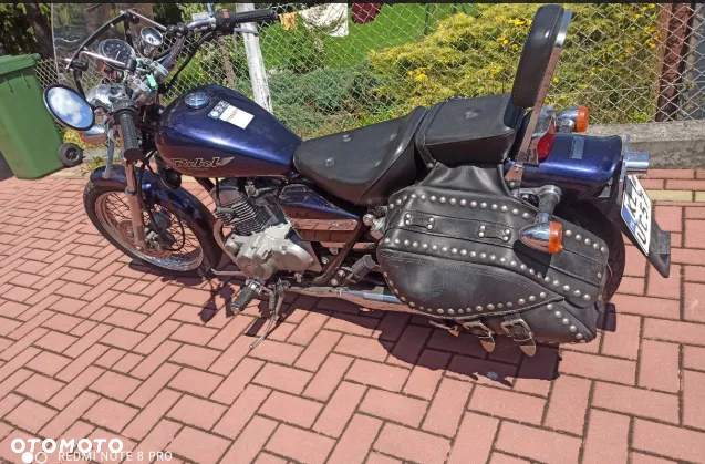 Honda Hornet - 5
