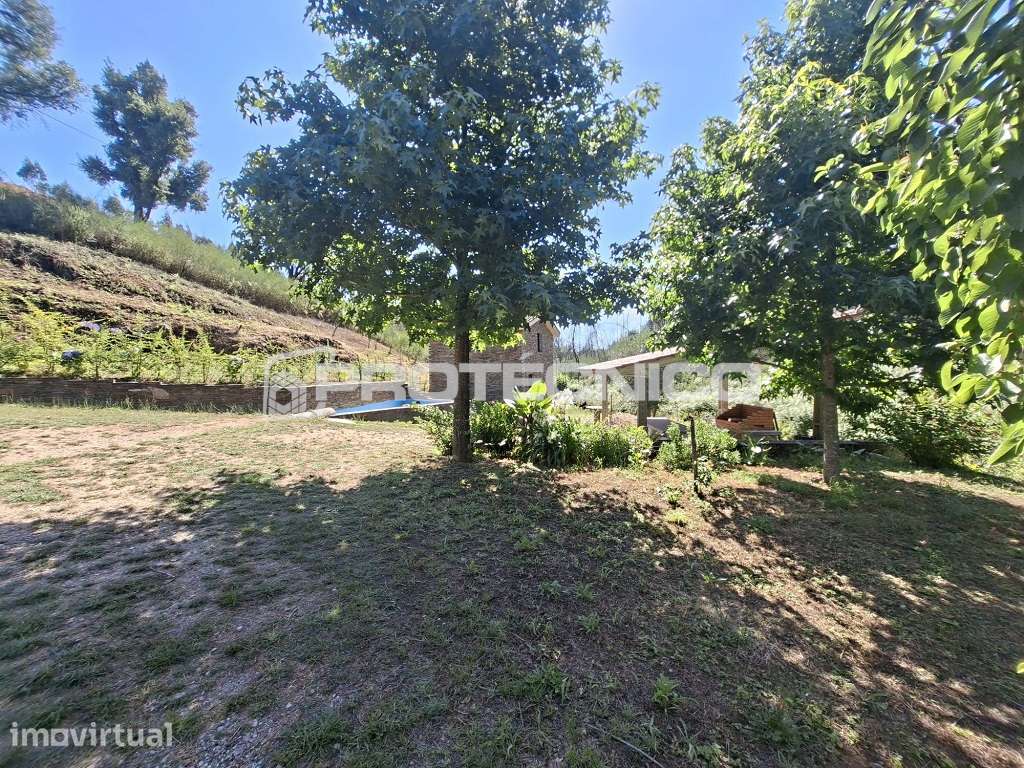 Terreno Rústico 2.500 m² | Albergaria-a-Velha
