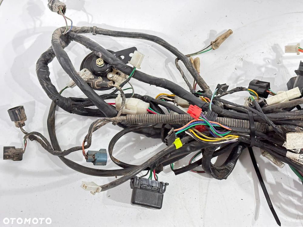 Wiązka instalacja Peugeot Django 50 - 4