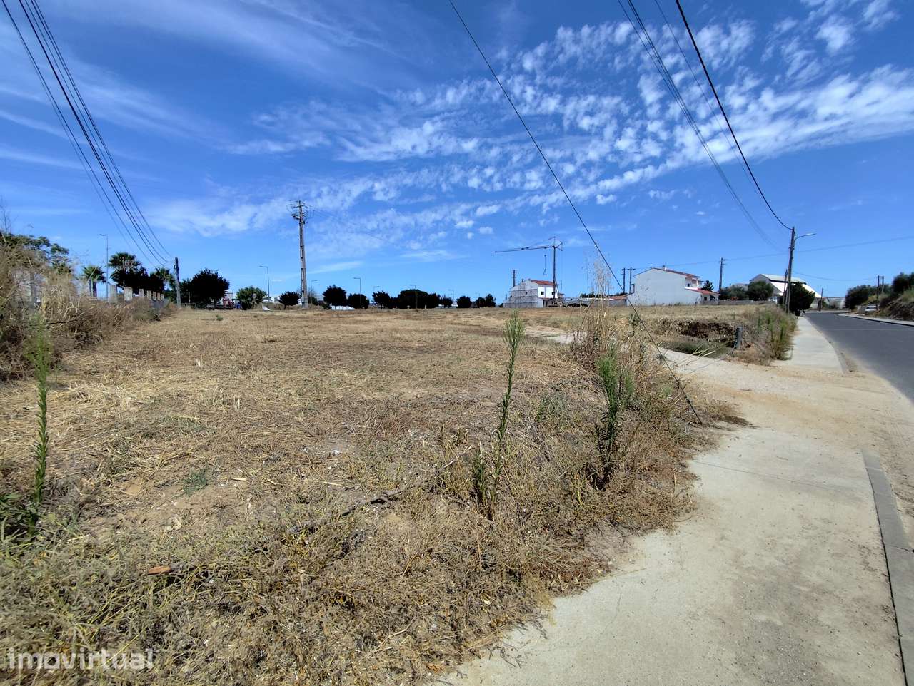Terreno, 8 760 m², Golegã - Grande imagem: 3/7