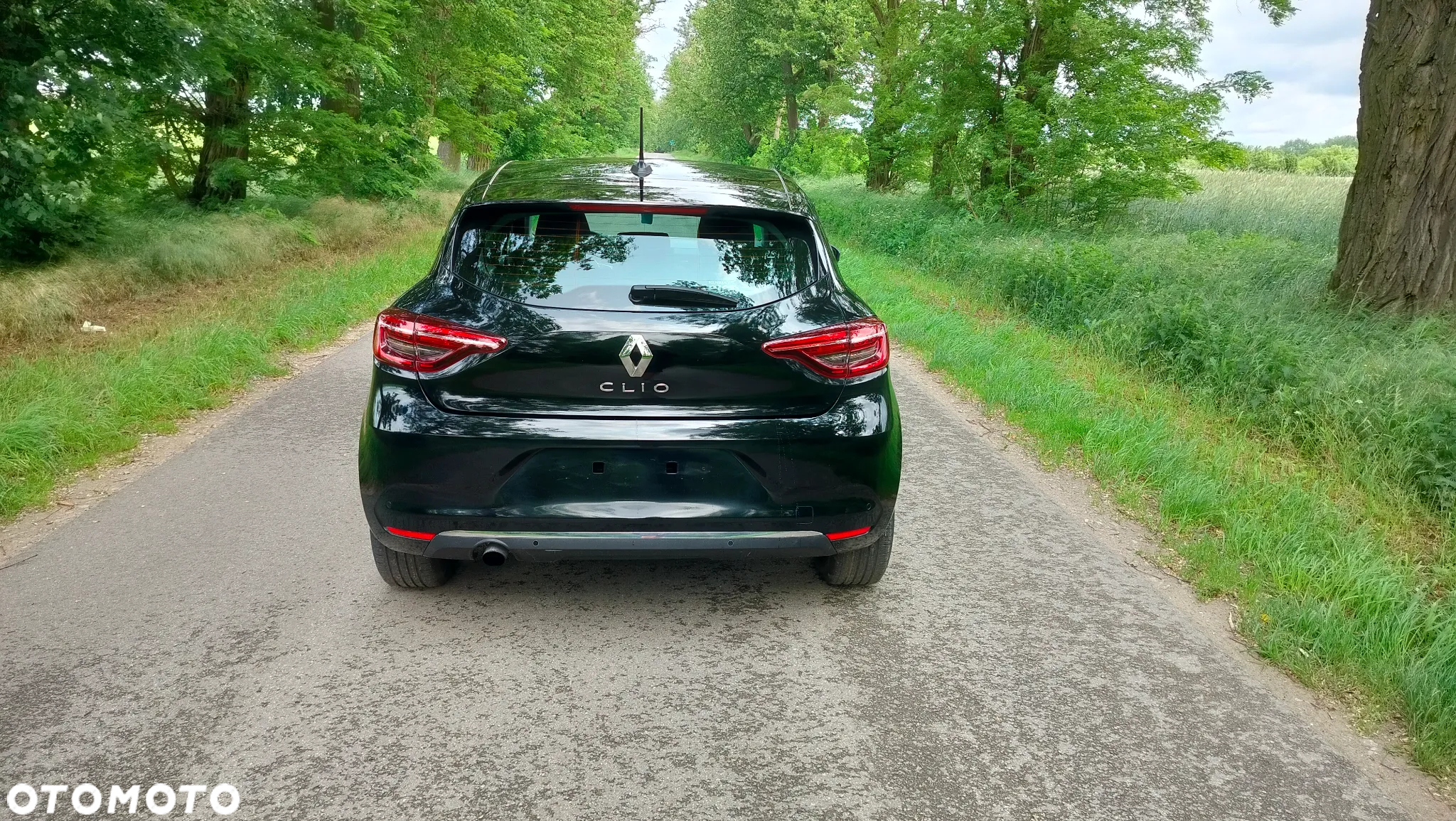 Renault Clio - 9