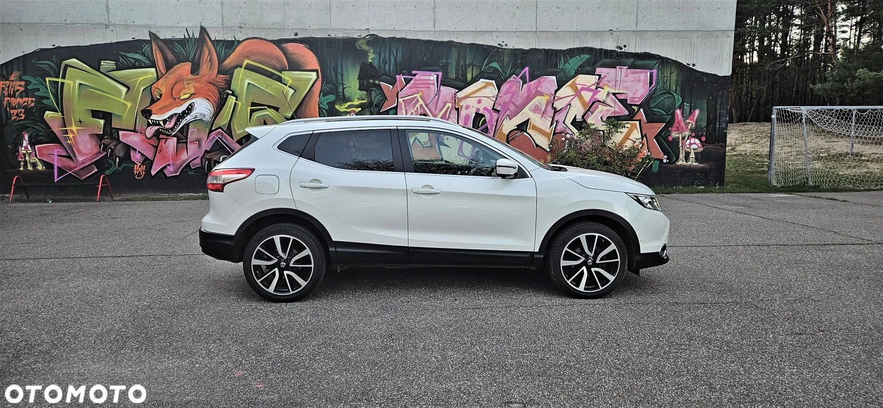 Nissan Qashqai 1.6 dCi 4x4 Tekna - 3