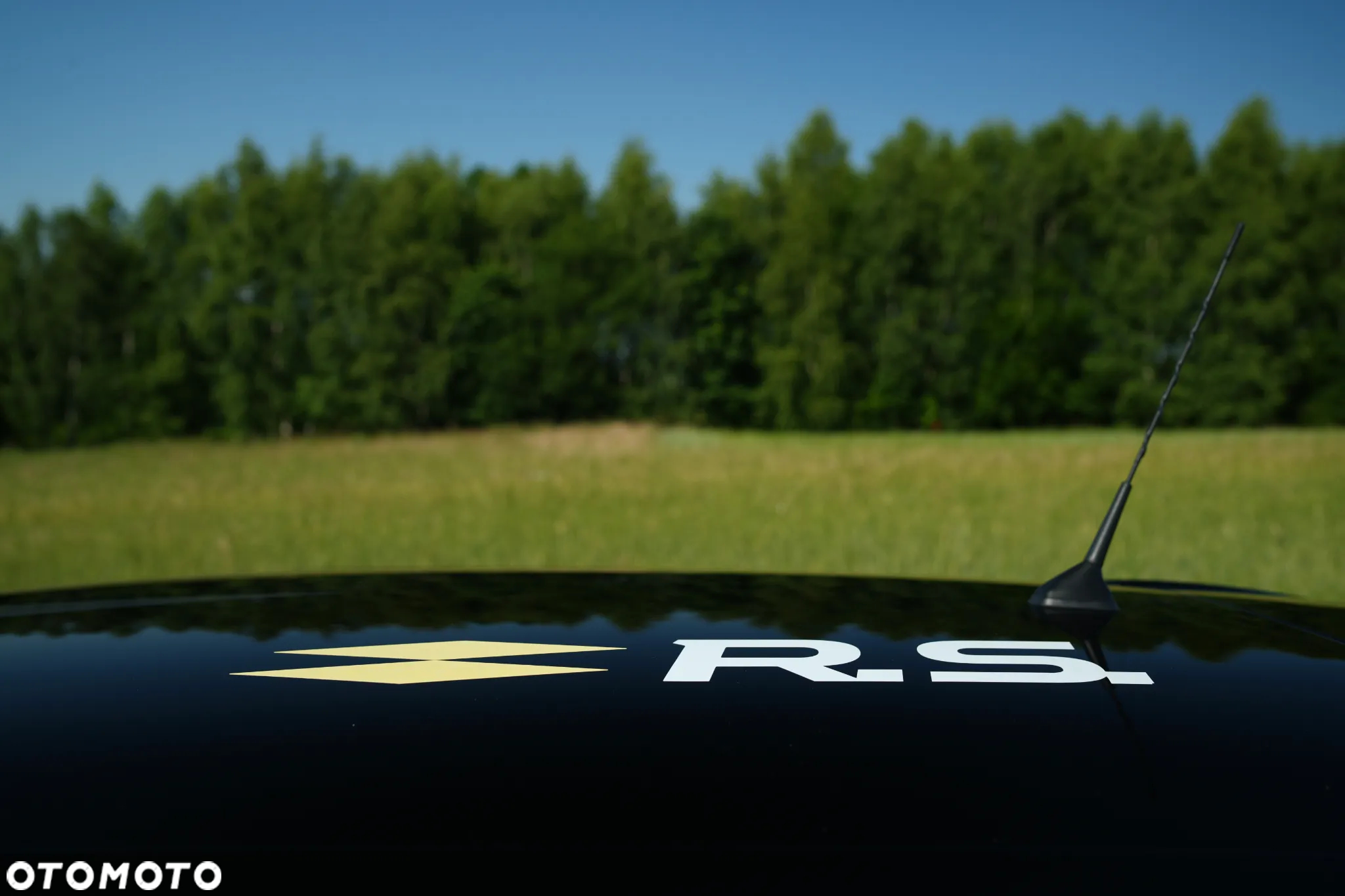 Renault Clio 1.6 R.S 18 - 16