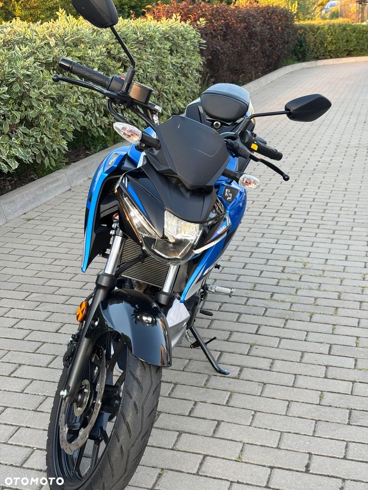Suzuki GSX - 22