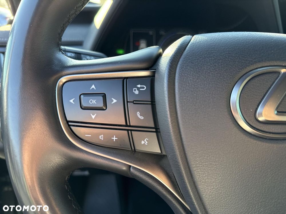 Lexus UX 250h GPF F Sport Design 2WD - 21