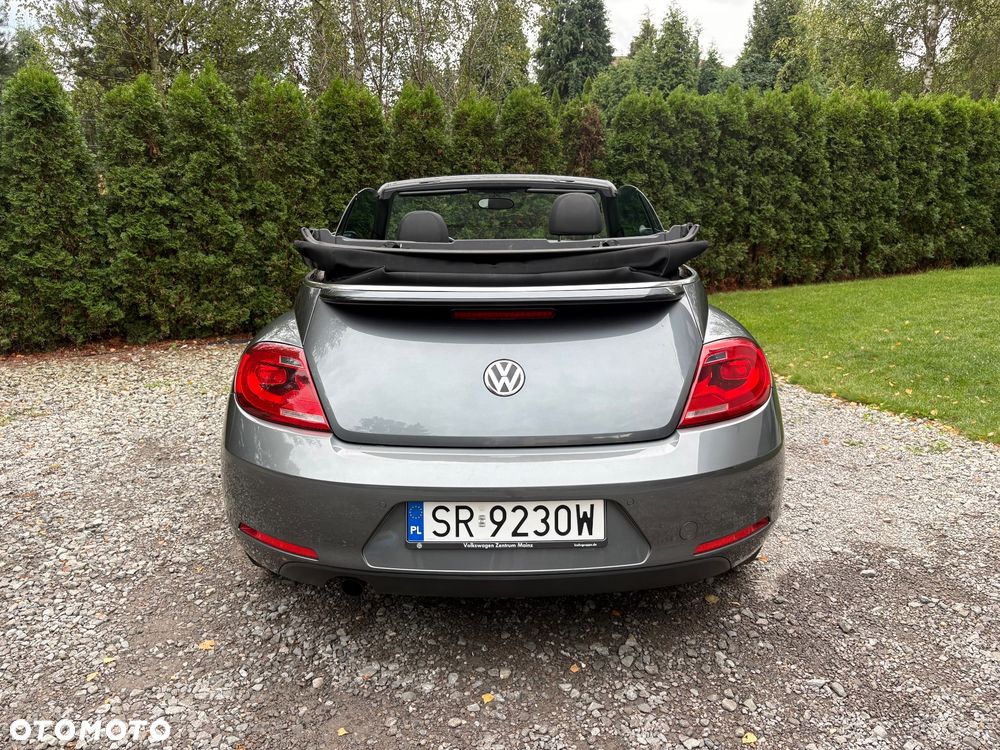 Volkswagen Beetle - 8
