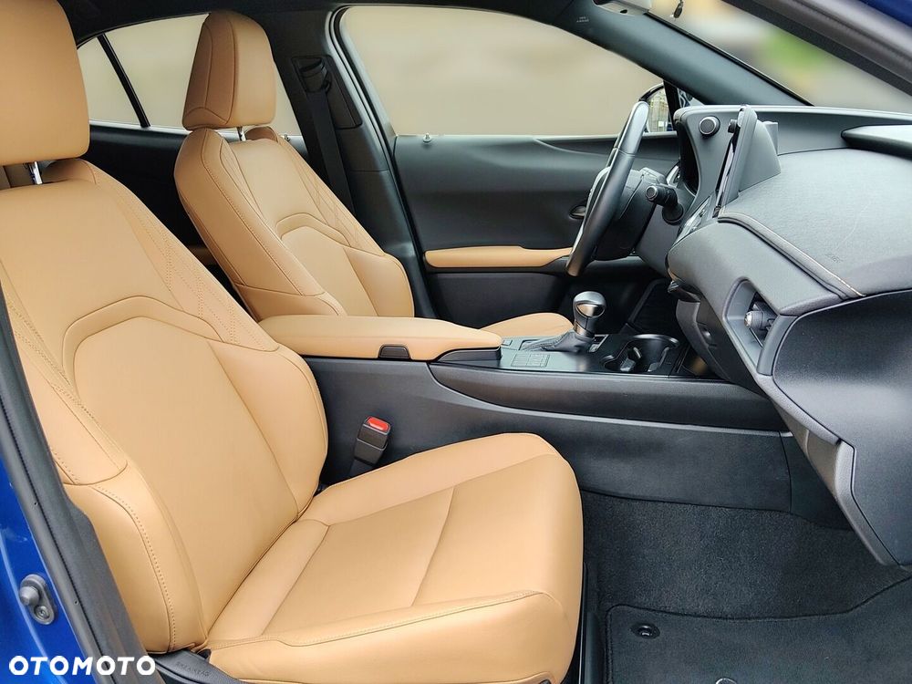 Lexus UX 250h GPF F Sport Design 2WD - 17