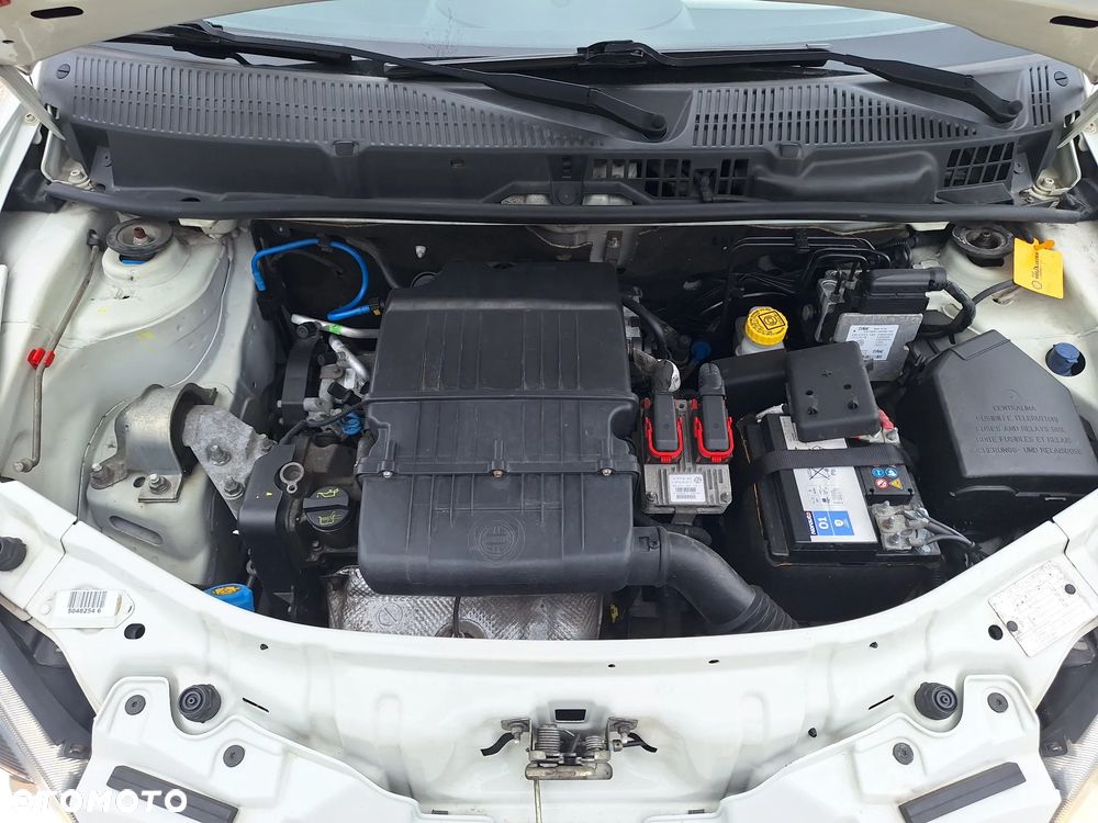 Lancia Ypsilon Y 1.2 8v Elefantino Gold - 28