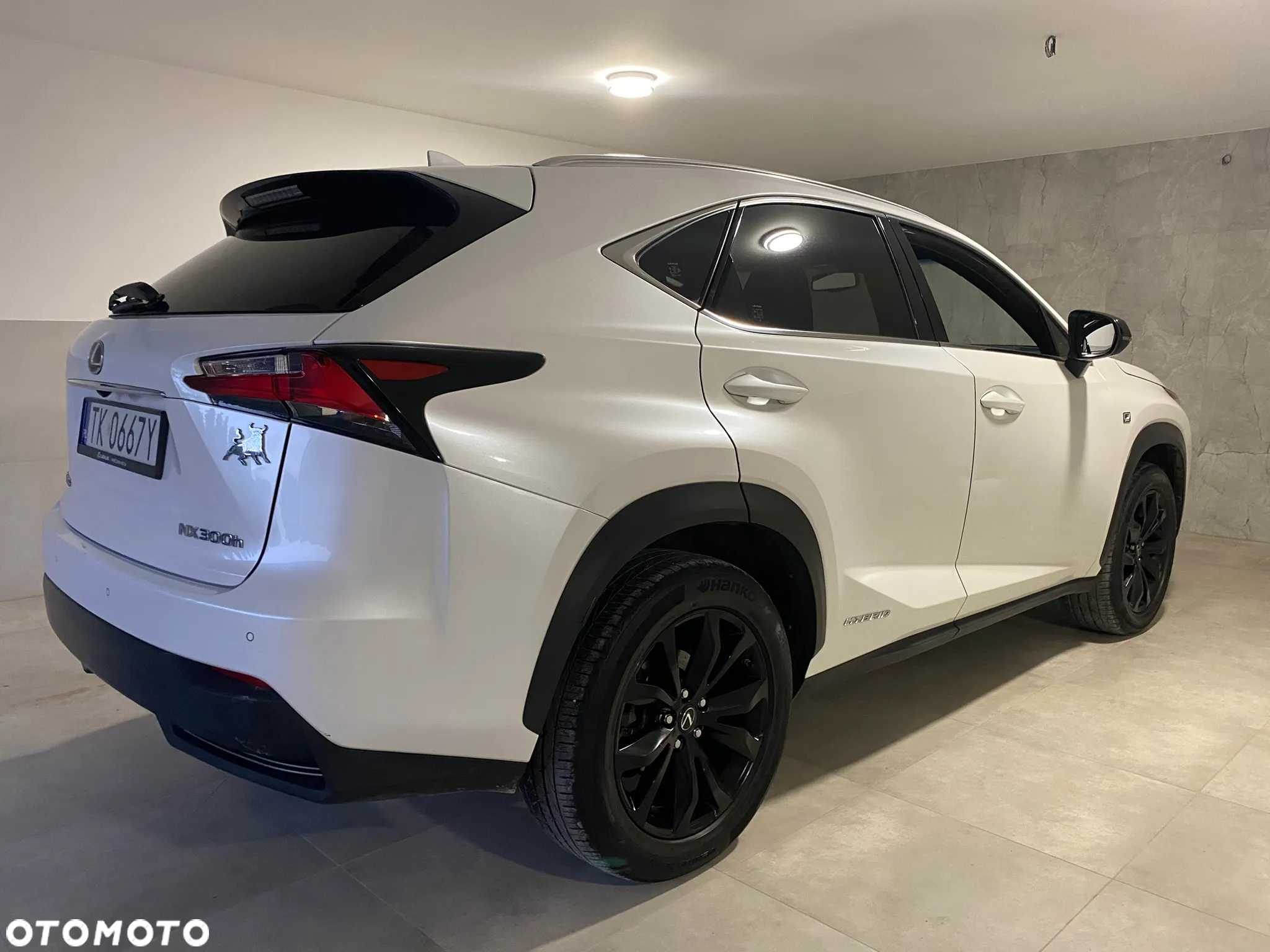 Lexus NX 300h - 39