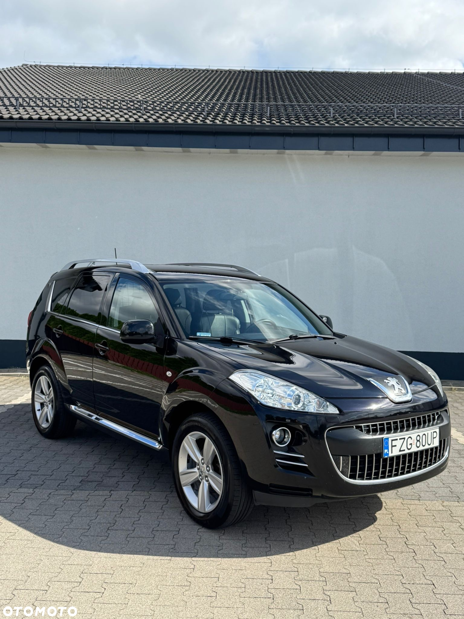 Peugeot 4007 2.2HDi Platinum - 14