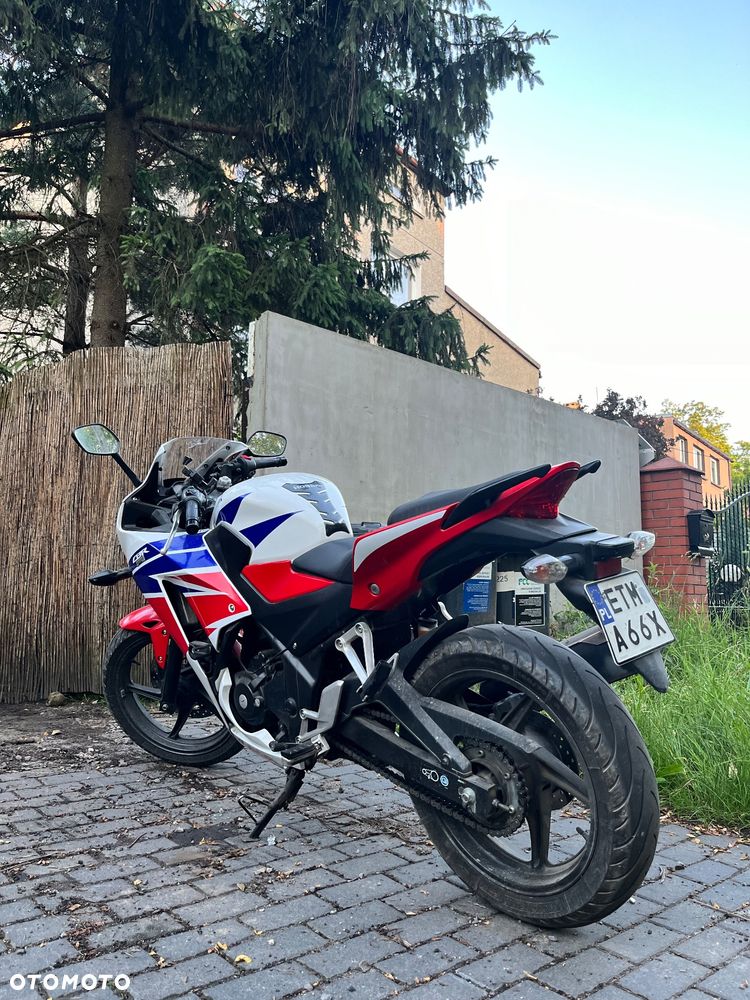 Honda CBR - 1