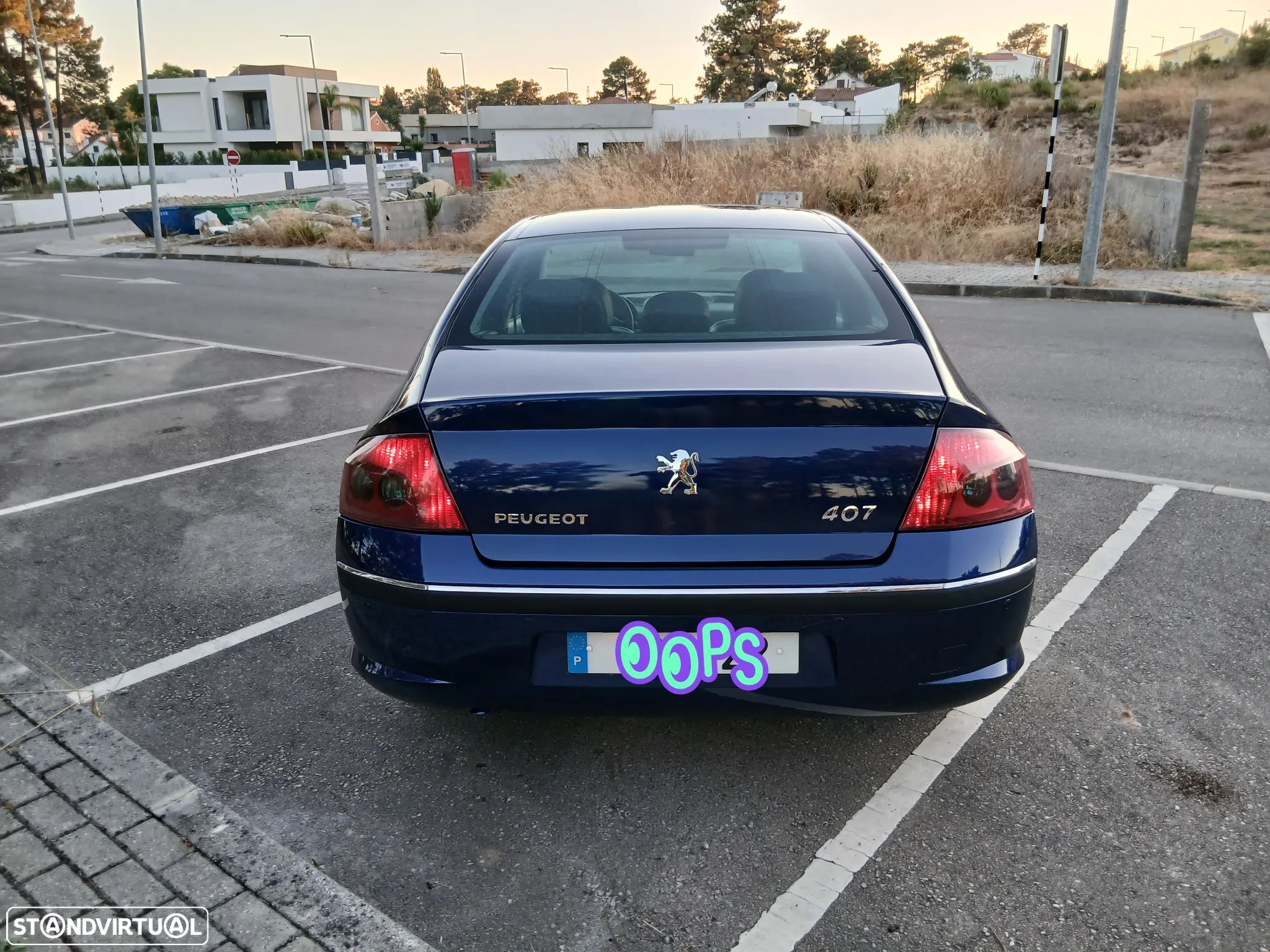 Peugeot 407 1.6 HDi Executive - 21